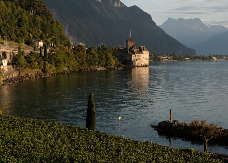 Visite guidée oenotouristique